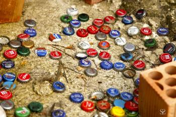 BibiteSnacks_distributore.jpg BibiteSnacks_distributore.jpg